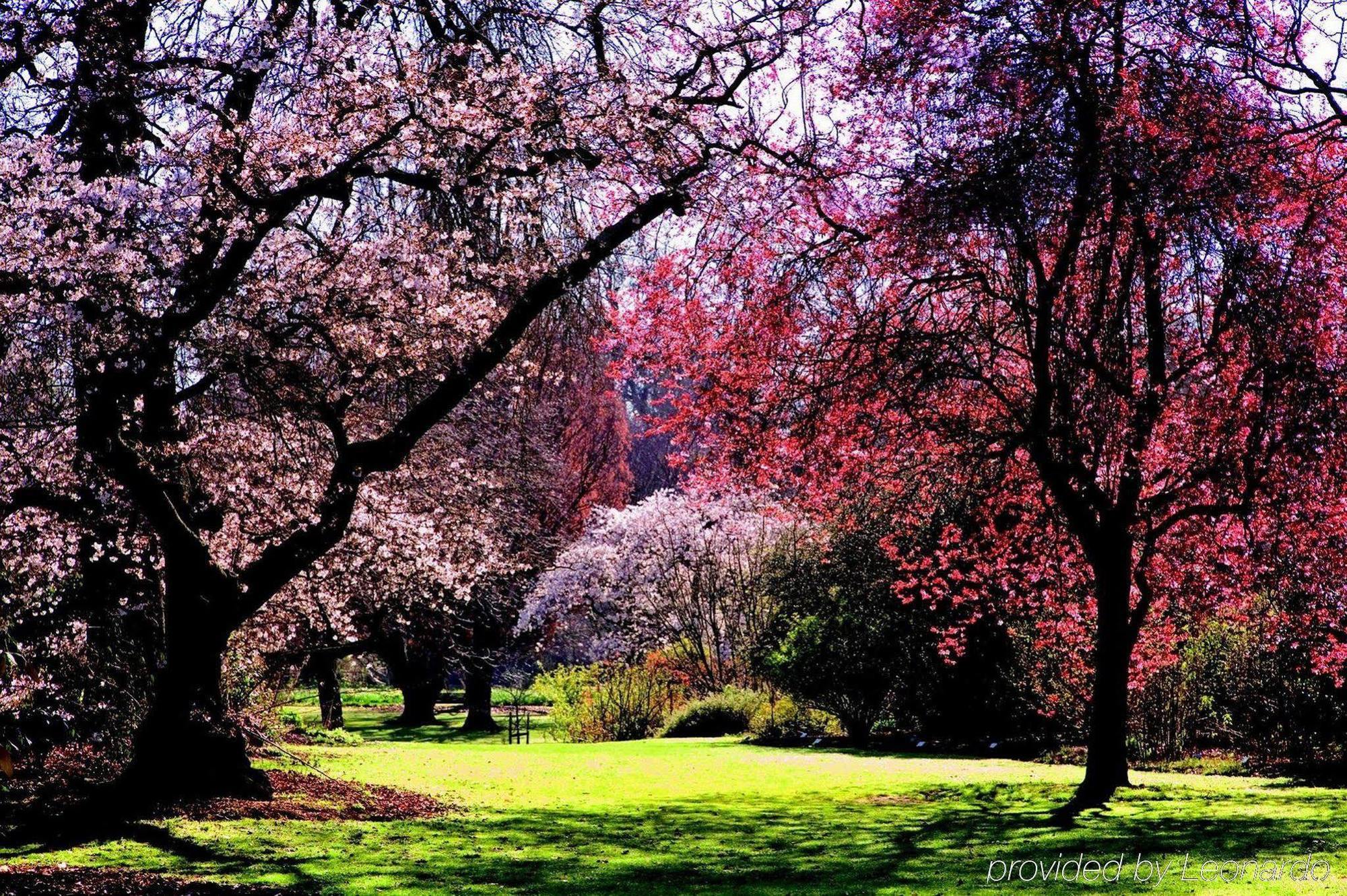 Parkview On Hagley Hotel Christchurch Buitenkant foto