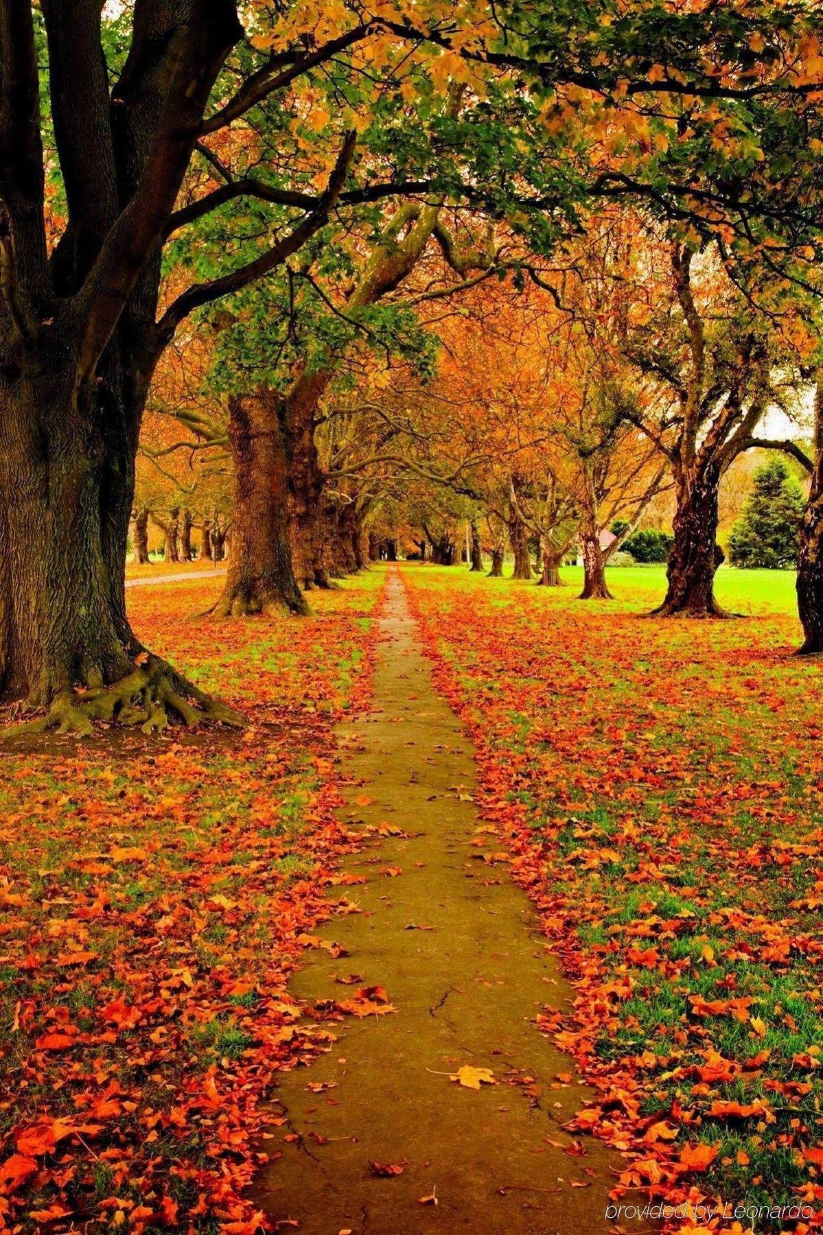 Parkview On Hagley Hotel Christchurch Buitenkant foto