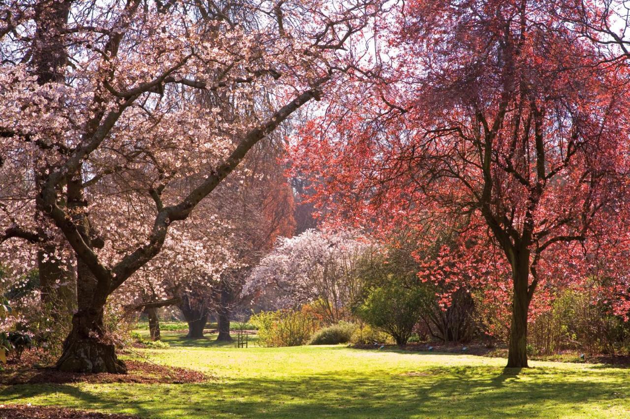 Parkview On Hagley Hotel Christchurch Buitenkant foto